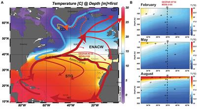 Disentangling multiproxy temperature reconstructions from the subtropical North Atlantic